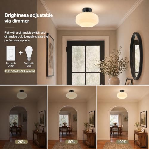 Modern Ceiling Light