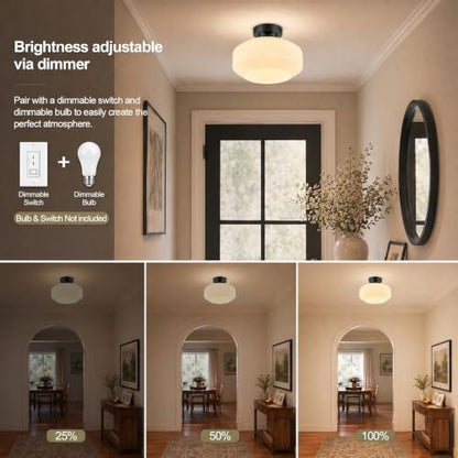 Modern Ceiling Light