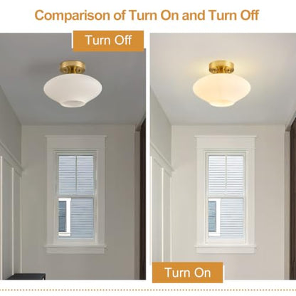Modern Ceiling Light