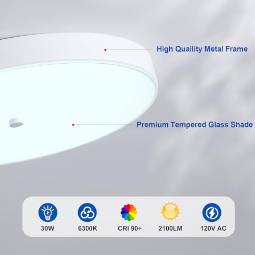 Led Flush Mount Ceiling Light