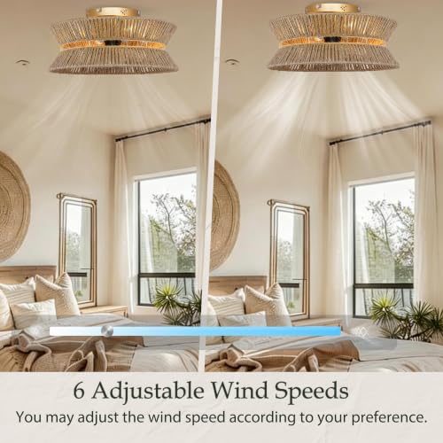 Ceiling Fan with Light