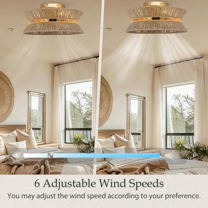 Ceiling Fan with Light