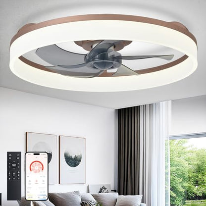 DLLT Modern Ceiling Fans with Lights