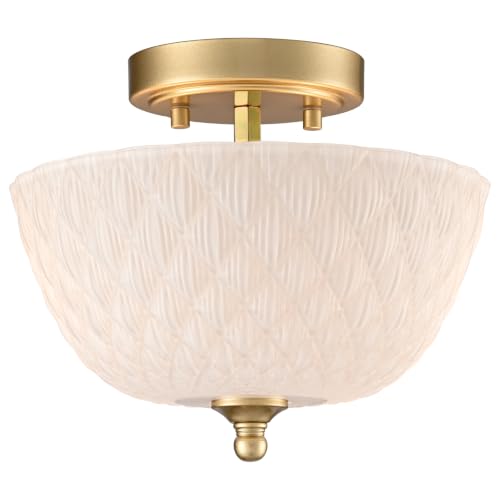 Semi Flush Mount Ceiling Light