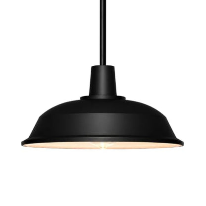 Indoor Pendant Light