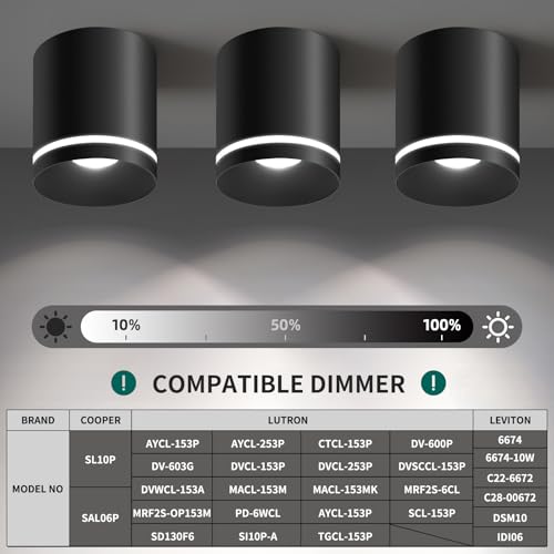 Ceiling Light Fixtures for Hallway Kitchen Entryway