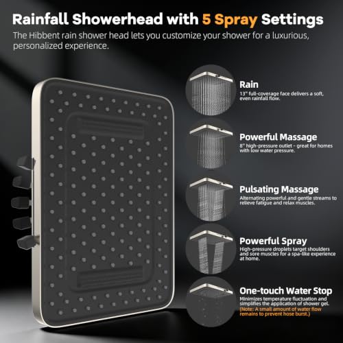 13'' 5 Spray Showerhead (Square 13" with 2 filters / Brushed Nickel)