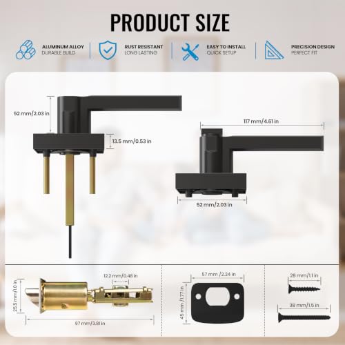 2 Pack Entry Door Handles with Lock and Key (Matte Black)