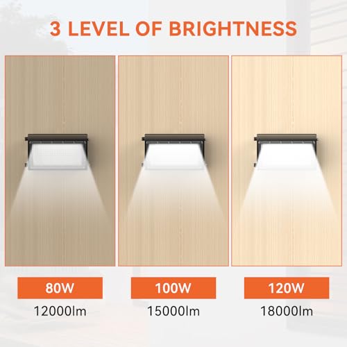 120W LED Wall Pack Light with Dusk