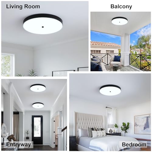12" Black Flush Mount Ceiling Light Fixture
