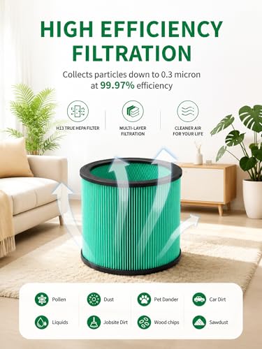 DXVC6914 Filters for Dewalt 6