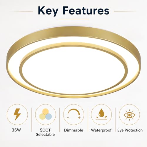 Close to Ceiling Light VC60