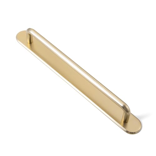2 Pack Cabinet Pulls with Backplate 2510