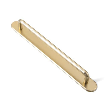 2 Pack Cabinet Pulls with Backplate 2510
