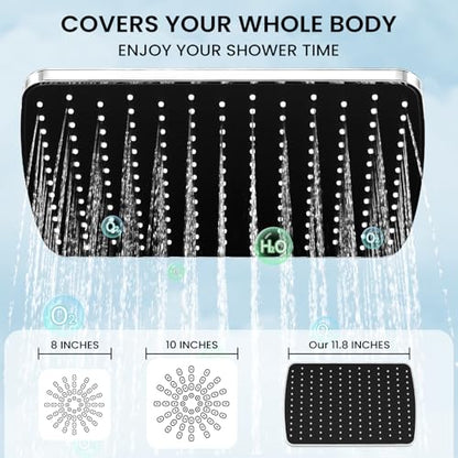 Shower Head with Handheld