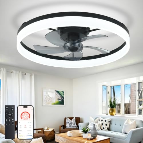 DLLT Modern Ceiling Fans with Lights