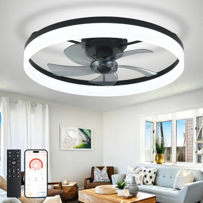 DLLT Modern Ceiling Fans with Lights