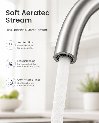 Wall Mount Kitchen Faucet