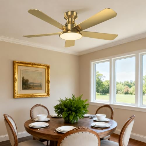 Ceiling Fans with Lights