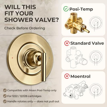 Shower Valve Trim Kit Compatible with Moen Gibson T2901 Posi