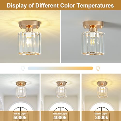 Crystal Ceiling Light