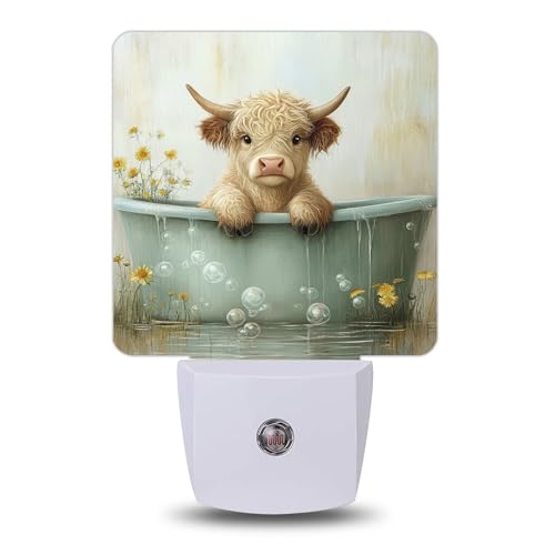 Night Light Night Lights Plug into Wall with Dusk to Dawn Sensor for Bedroom Bathroom Hallway Kitchen