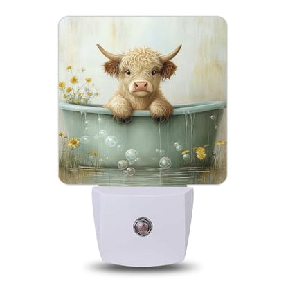 Night Light Night Lights Plug into Wall with Dusk to Dawn Sensor for Bedroom Bathroom Hallway Kitchen