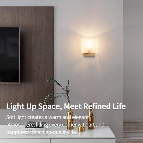 Modern Acrylic Shade Wall Light Fixture