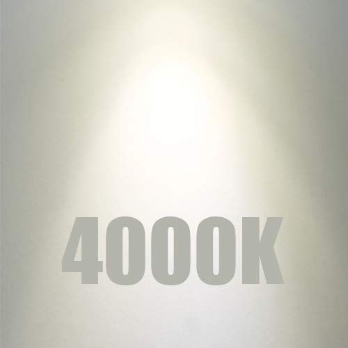 LED Light Bulb T10 Dimmable Flick