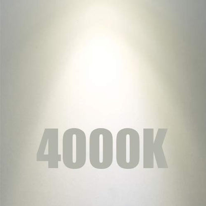 LED Light Bulb T10 Dimmable Flick