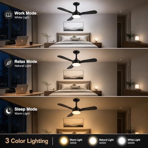 Ceiling Fans with Lights