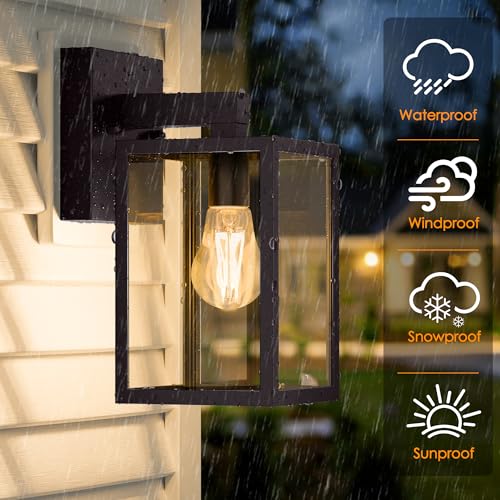 Outdoor Wall Light Fixture