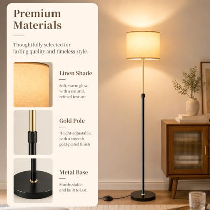 Dimmable Floor Lamp for Living Room (Black Gold 3CCT)