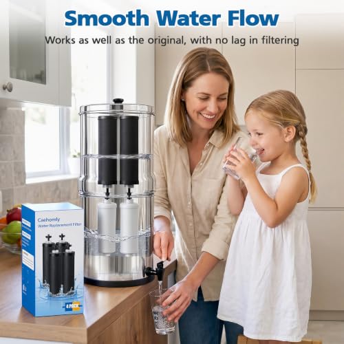 Water Filter Replacement