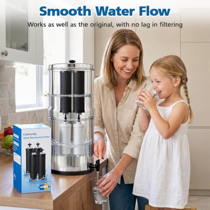 Water Filter Replacement