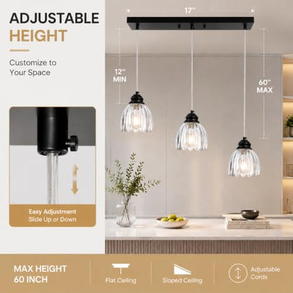3153 5 Light Pendant Light Round Base cage
