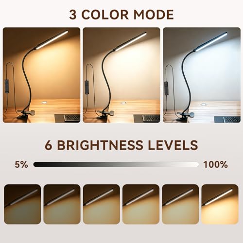 Clip‑On Desk Lamp (Dark Black / Medium)