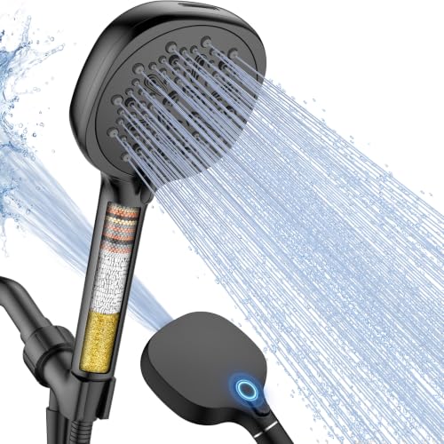 Filtered Shower Head with Handheld