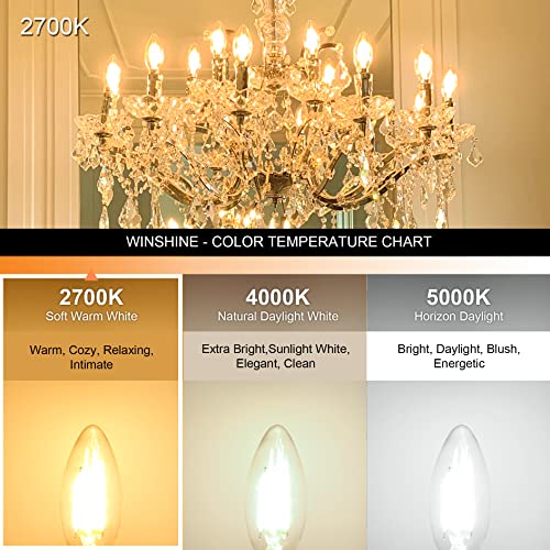 10 Pack E12 LED Light Bulb 60W Equivalent 2700K Warm White for Chandelier (10 Count (Pack of 1))