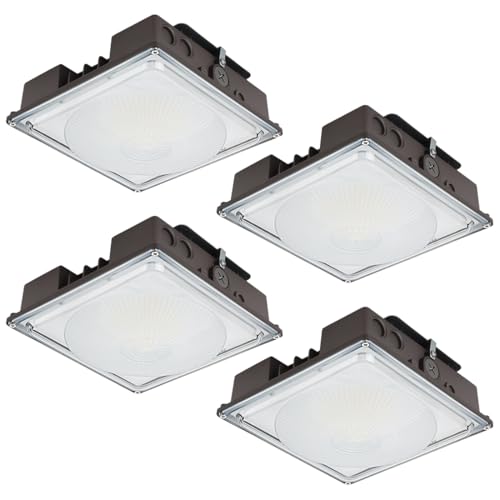 60W LED Canopy Light