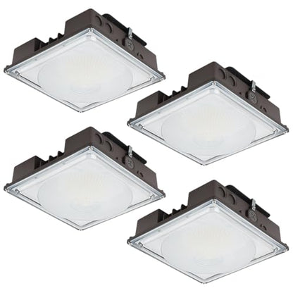60W LED Canopy Light