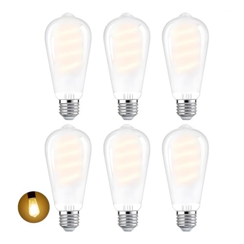 E26 Edison Bulbs