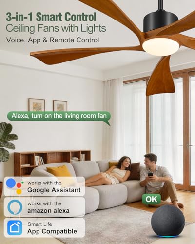 Smart Ceiling Fans with Lights