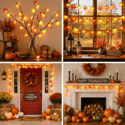 25FT Outdoor String Lights for Holiday Decor
