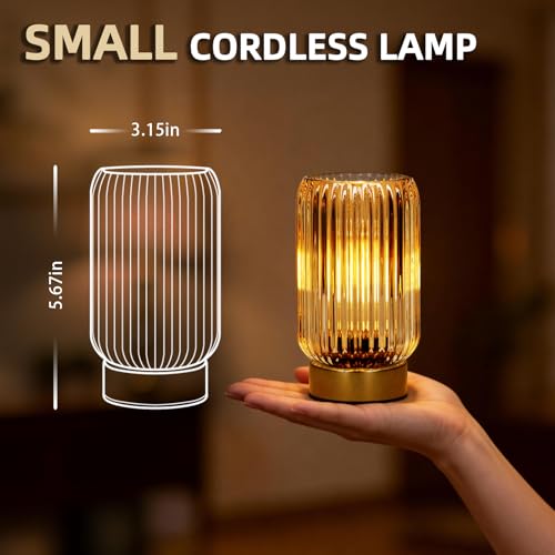 Small Cordless Lamp
