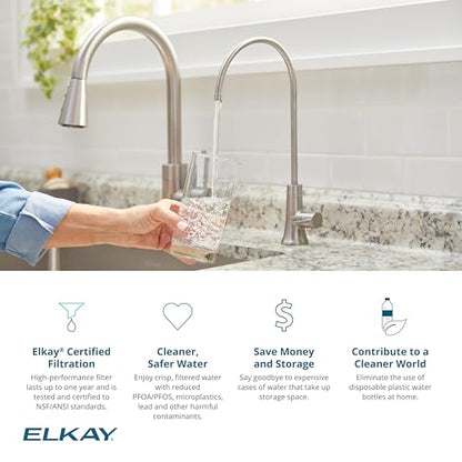 Avado Single Lever Filtered Beverage Faucet