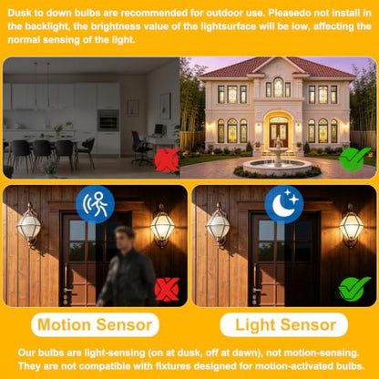 A19 Dusk to Dawn Light Bulbs