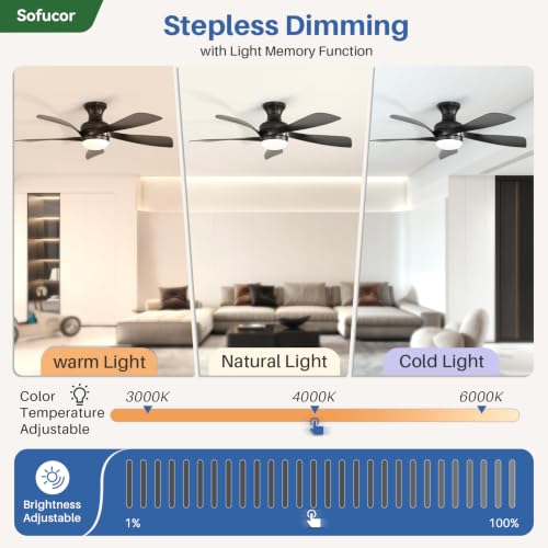 52 Inch Smart Ceiling Fans with Lights and Remote (Black / 52inch Max)