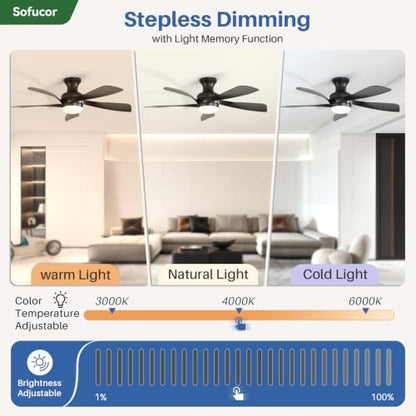 52 Inch Smart Ceiling Fans with Lights and Remote (Black / 52inch Max)