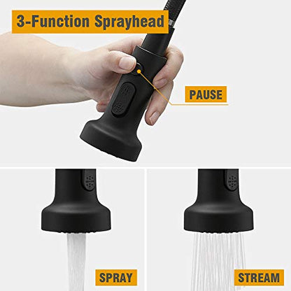 Kitchen Sink Faucet